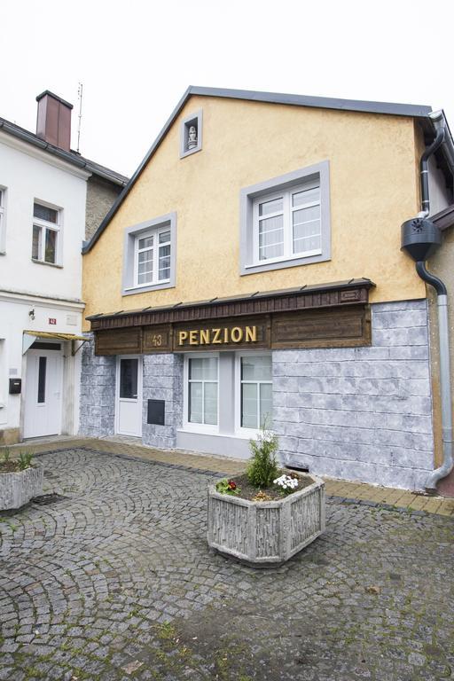 Penzion 43 Bor 外观 照片